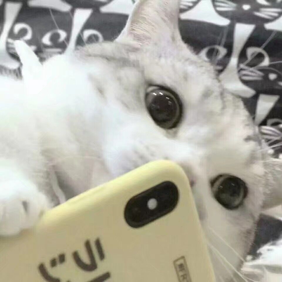 111111