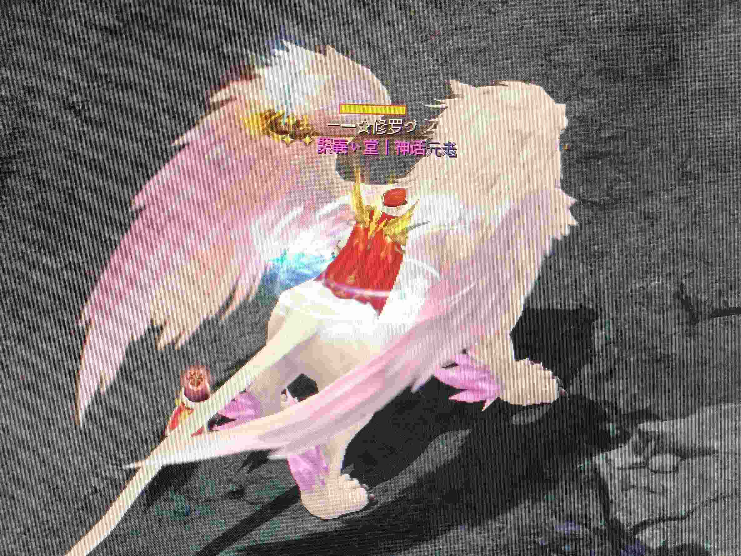 一起走过
