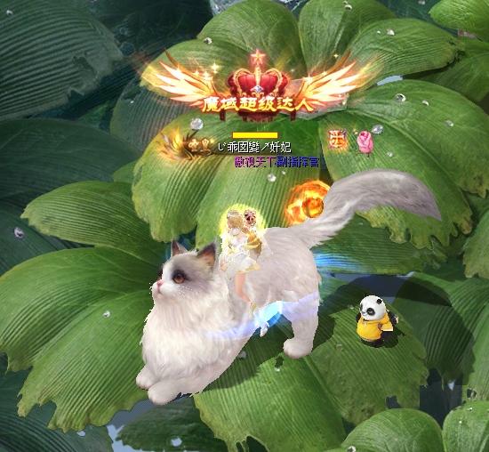 溜宠
