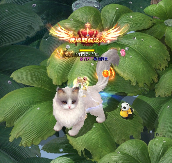 溜宠