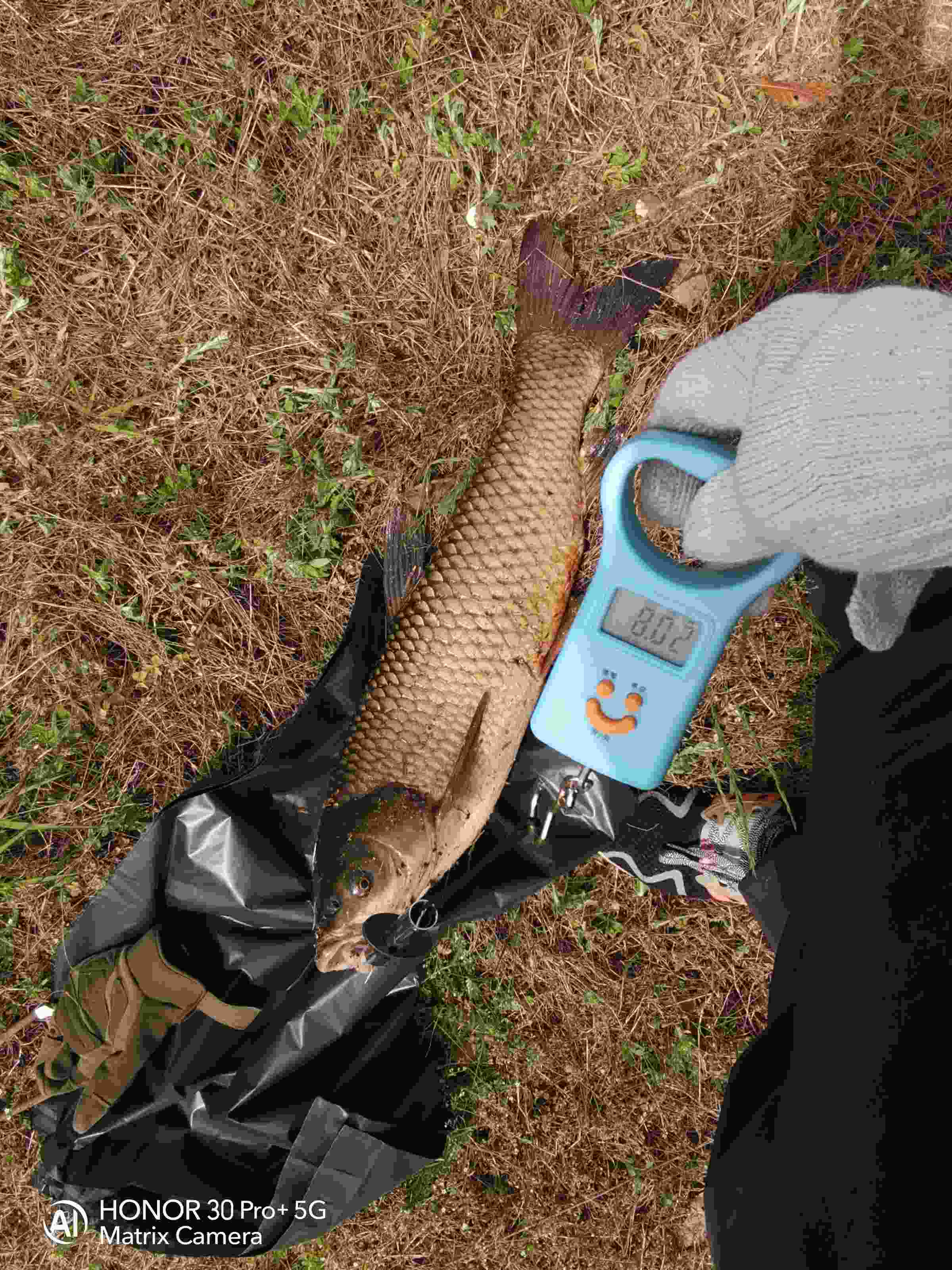 求点赞