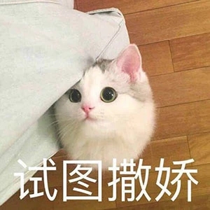 没自信