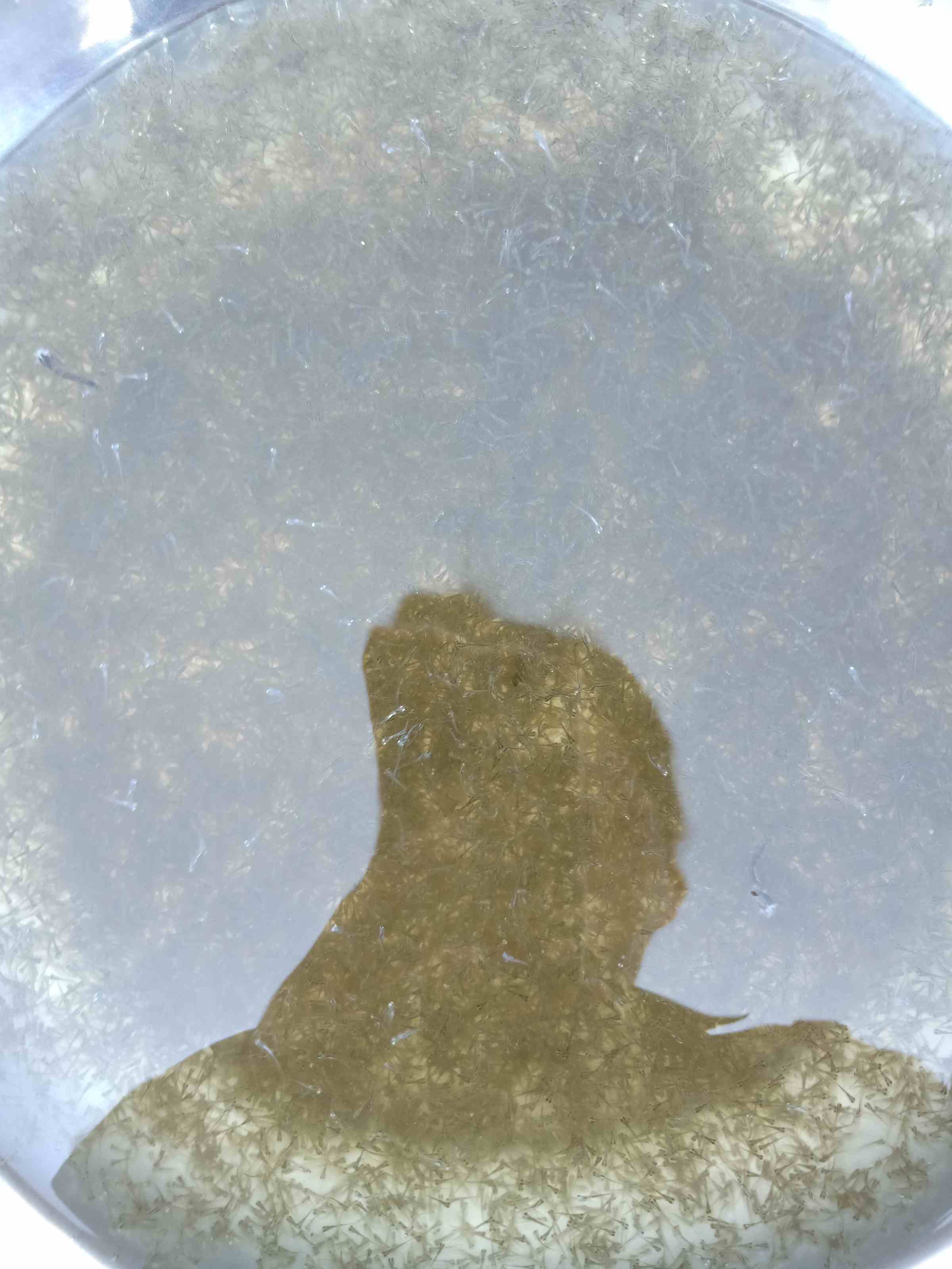 每天没事就发呆