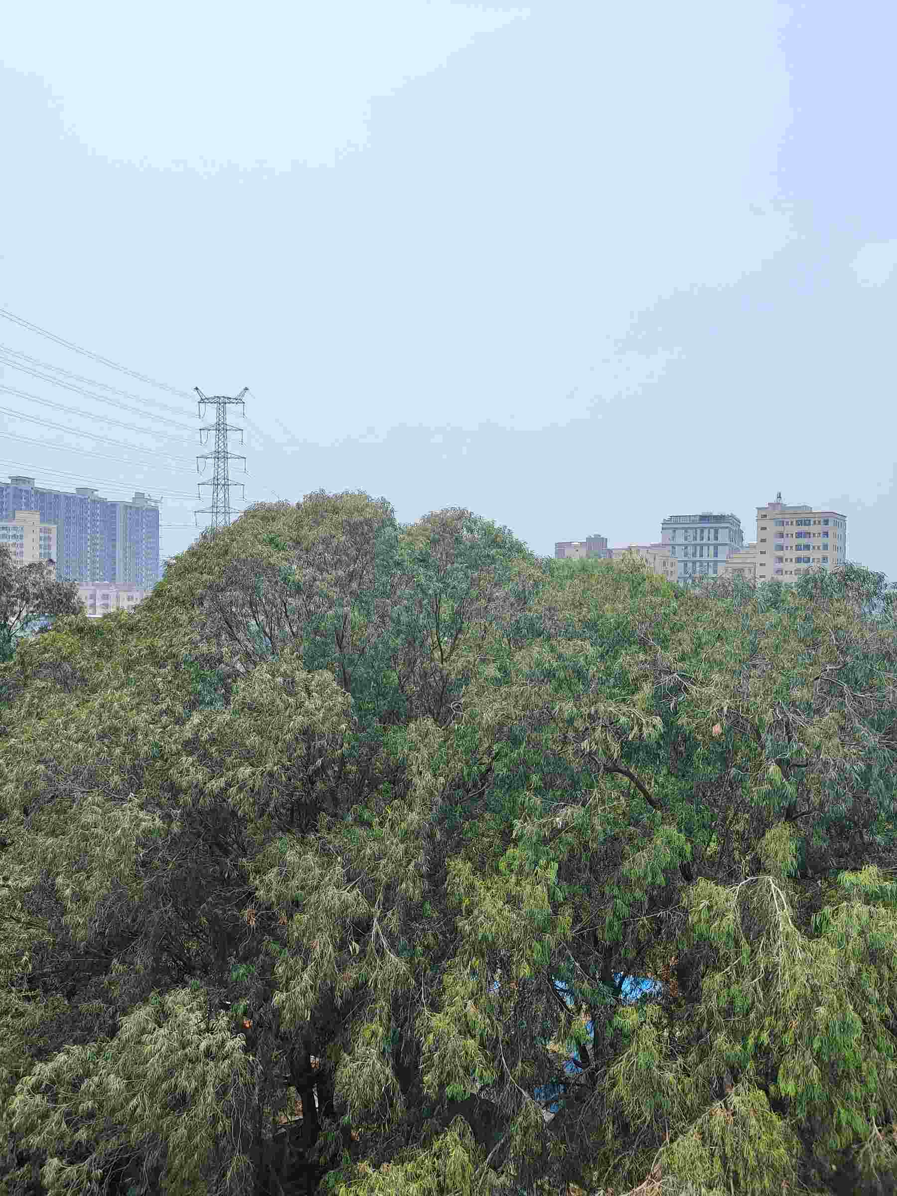 呃呃嗯