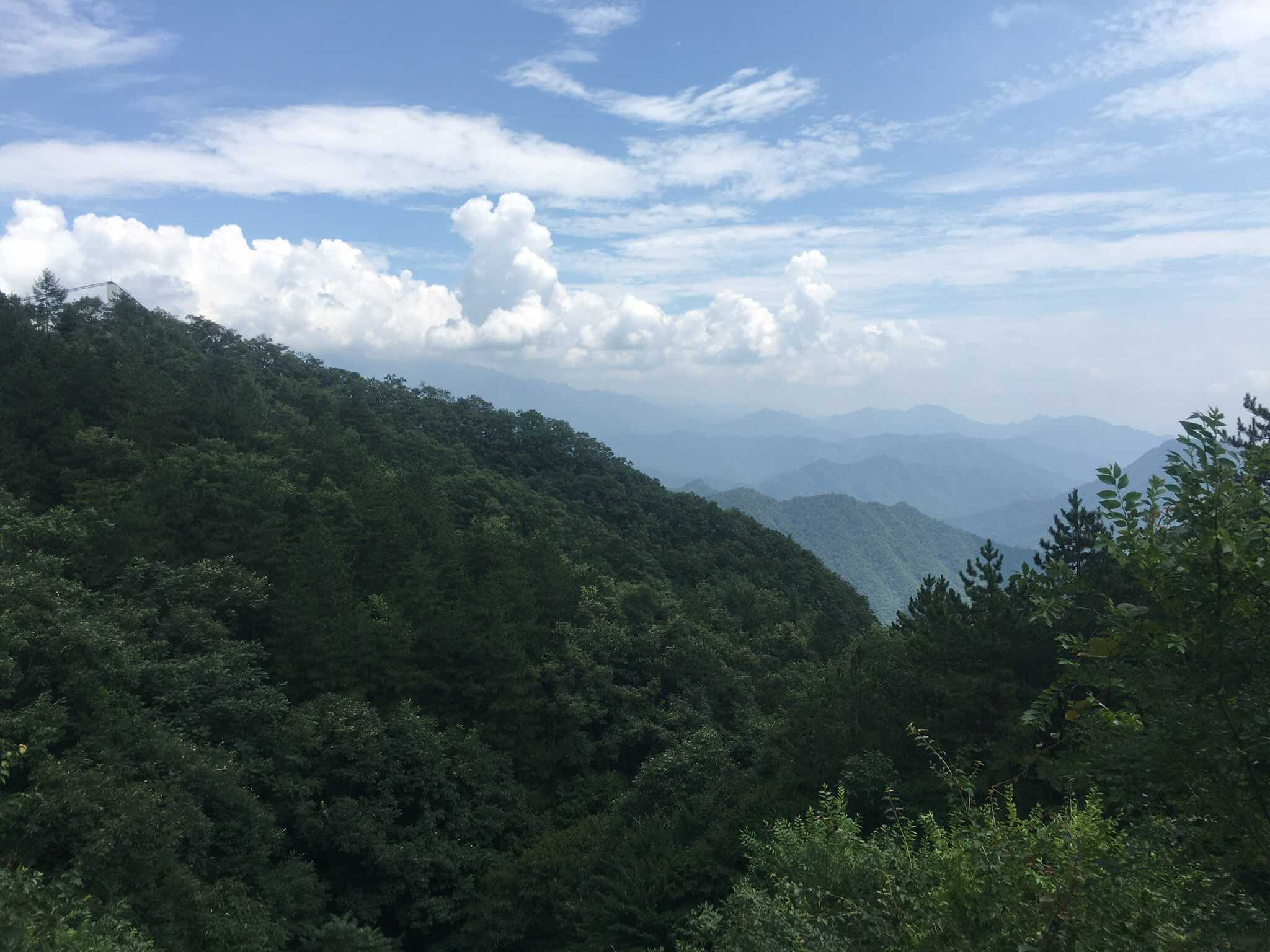 出去转转