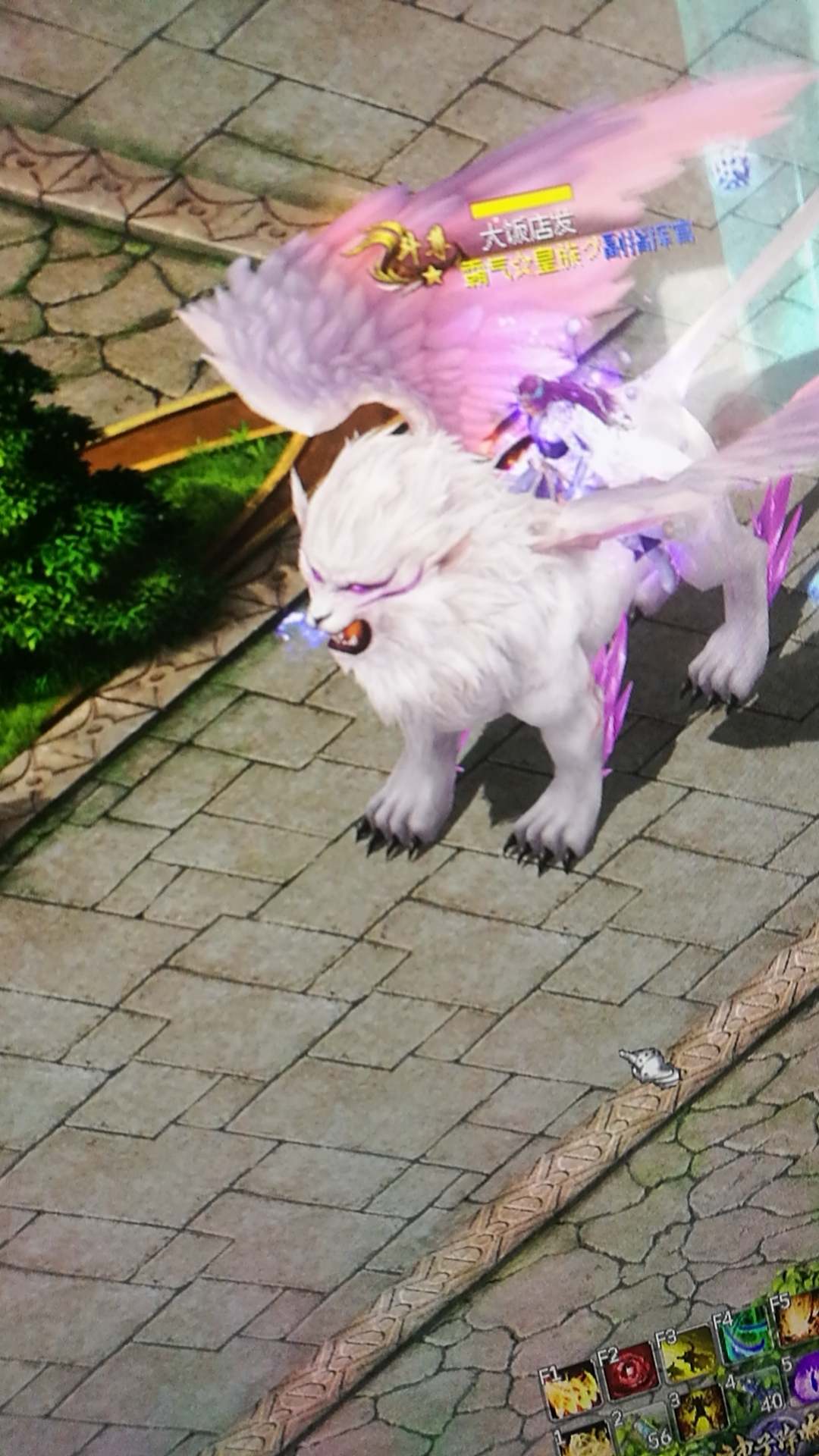 魔域的世界有你更精彩哦