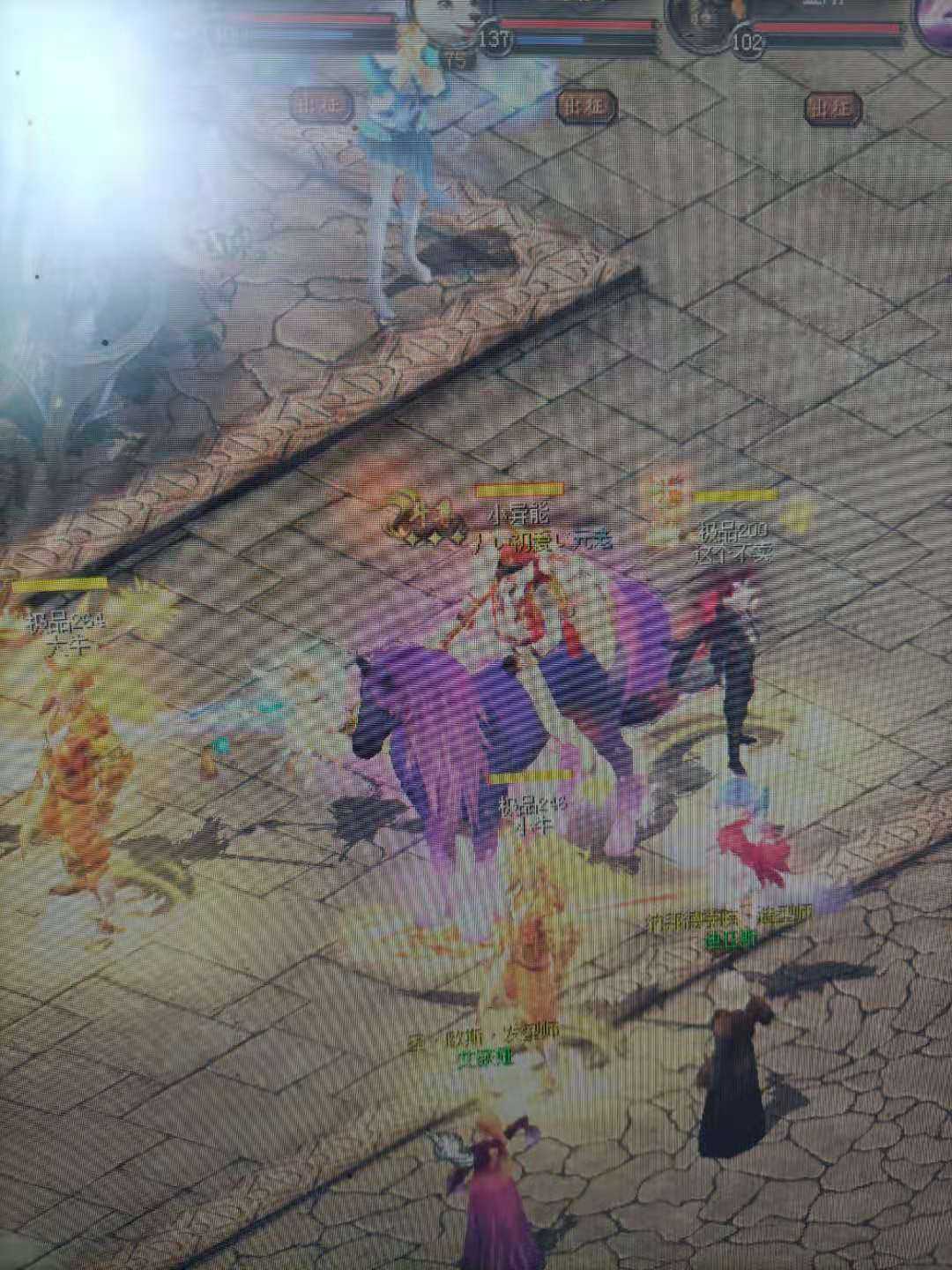 积极参加魔域的各种活动