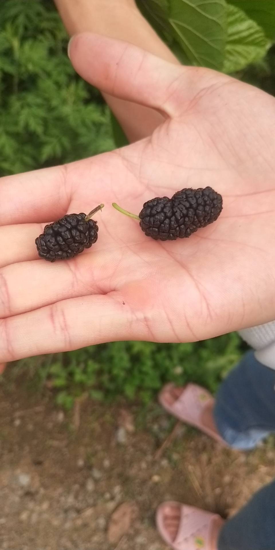 来欣赏欣赏