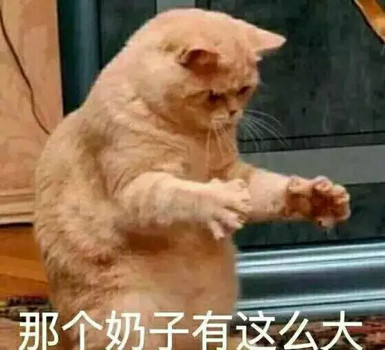 氵