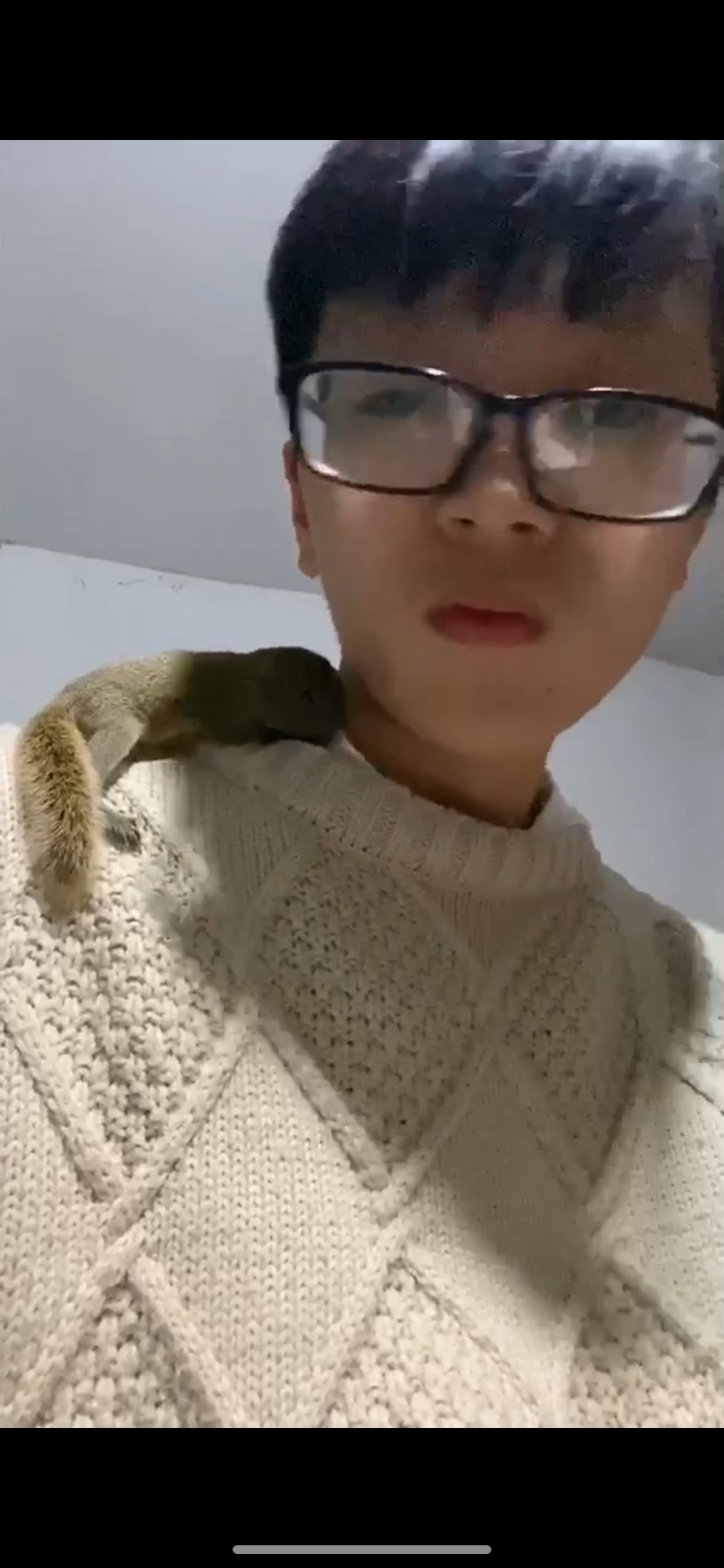 不知不觉玩2个星期了，没啥变化