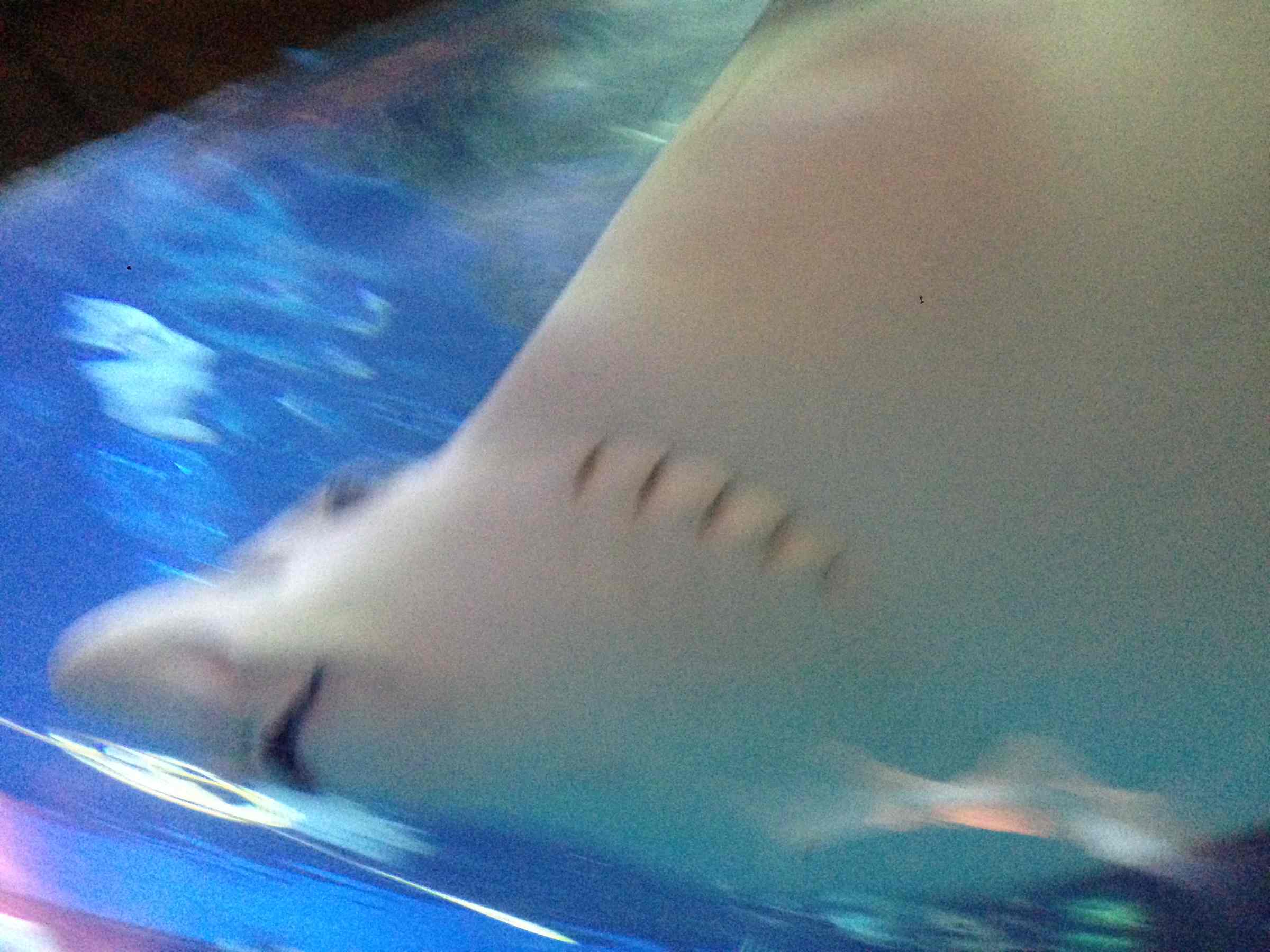 海底系列