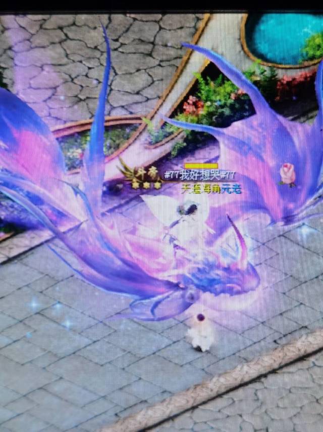 萌心童趣