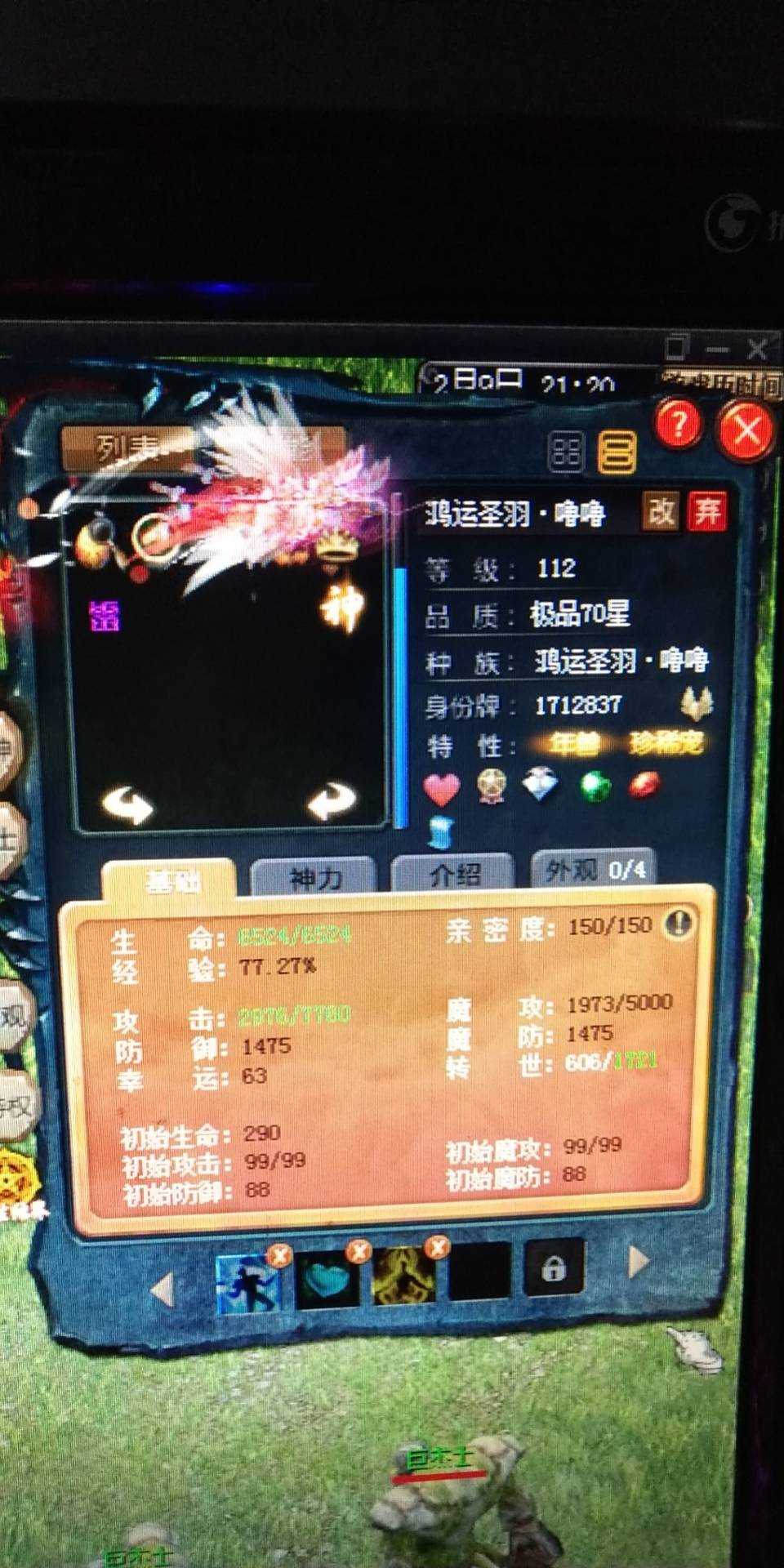 合个大猪玩玩