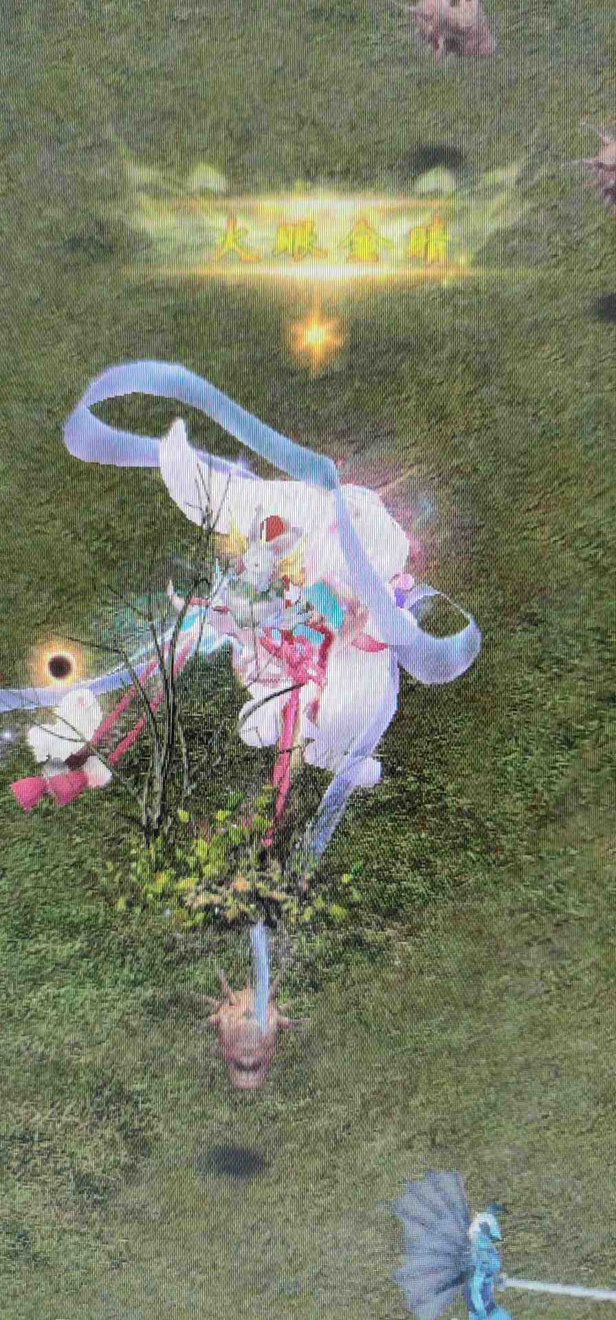 兔子套装