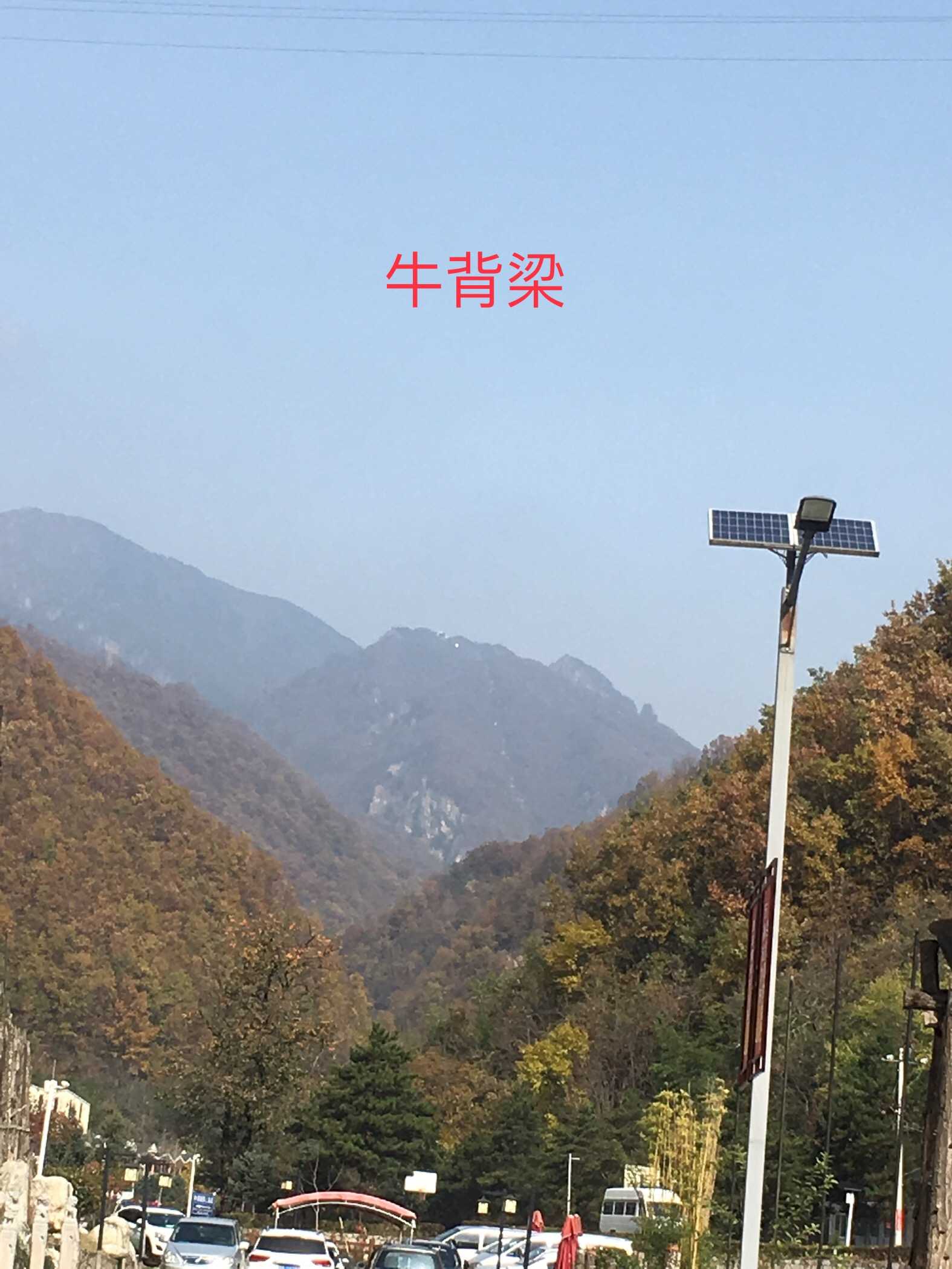 每日打卡