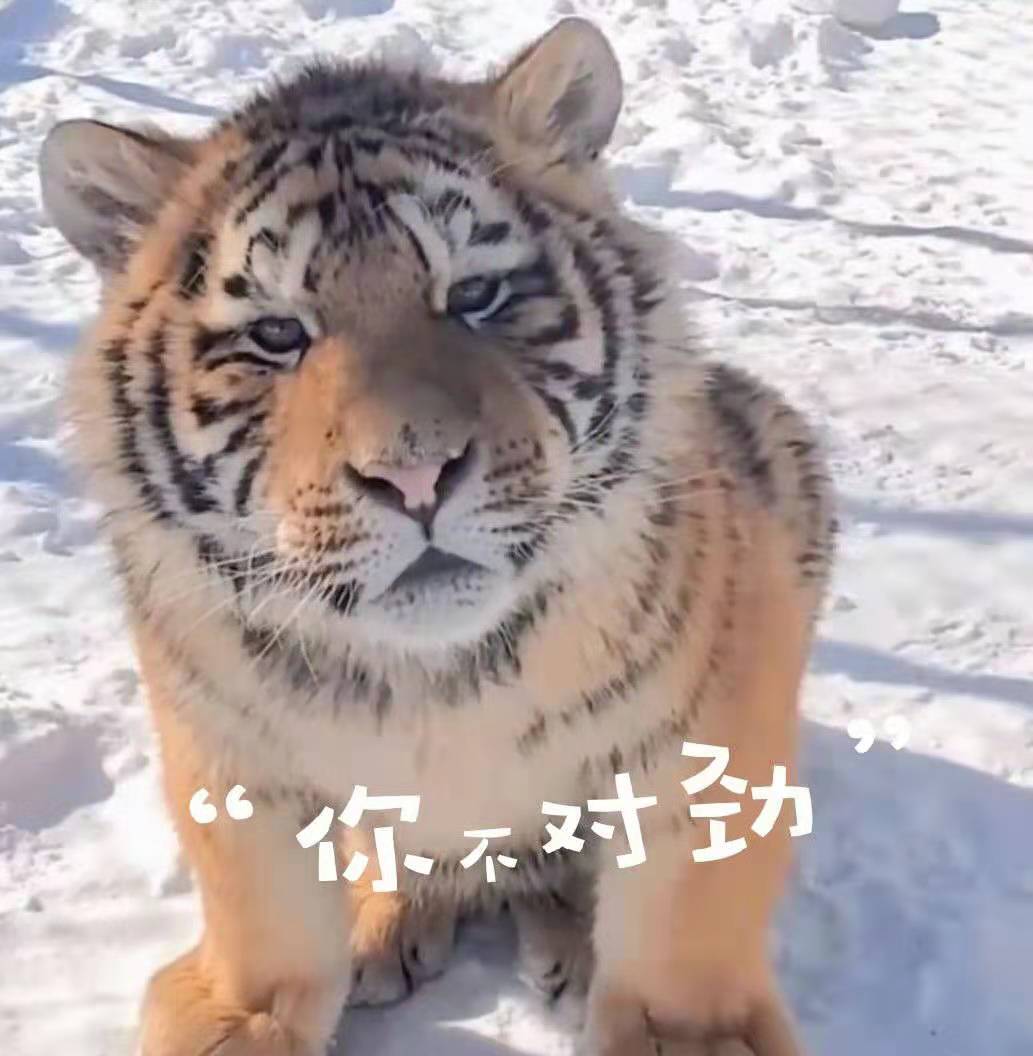 猜猜我要干啥