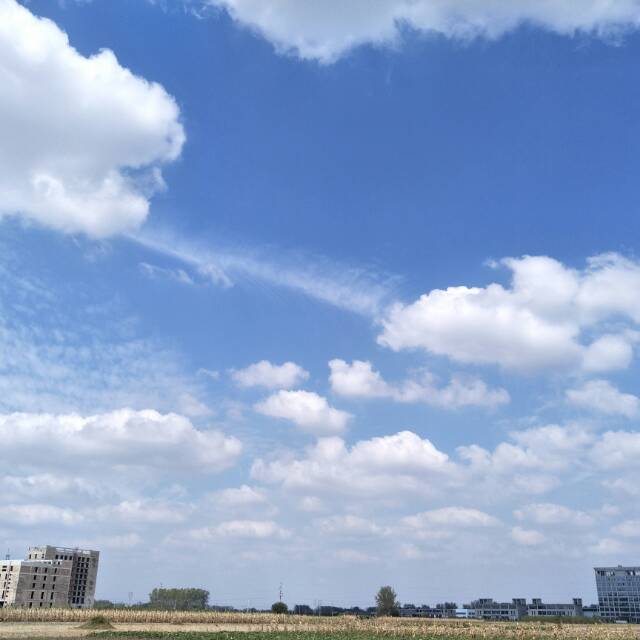 每日一图