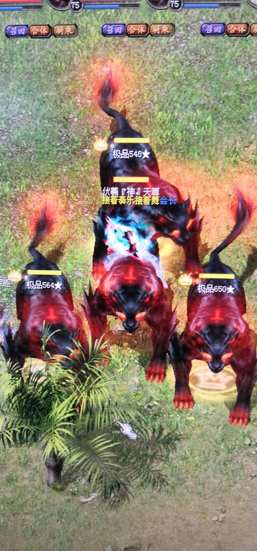 666