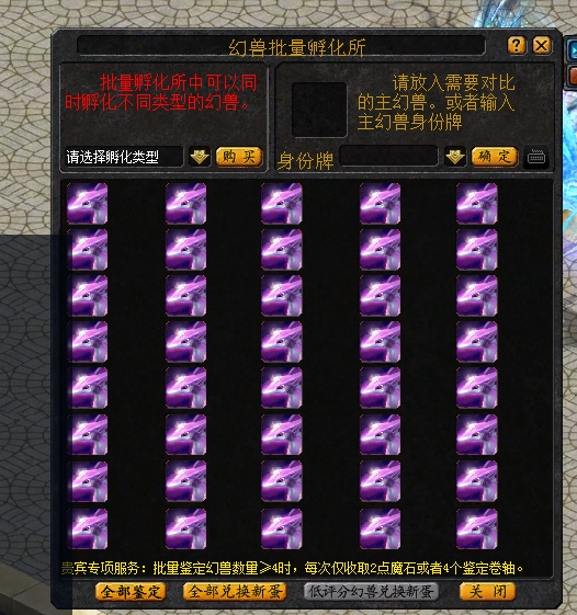 合31.5XO