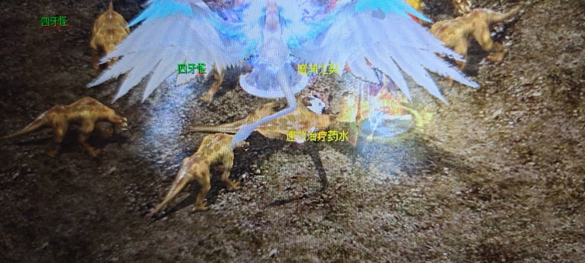 还是至尊美