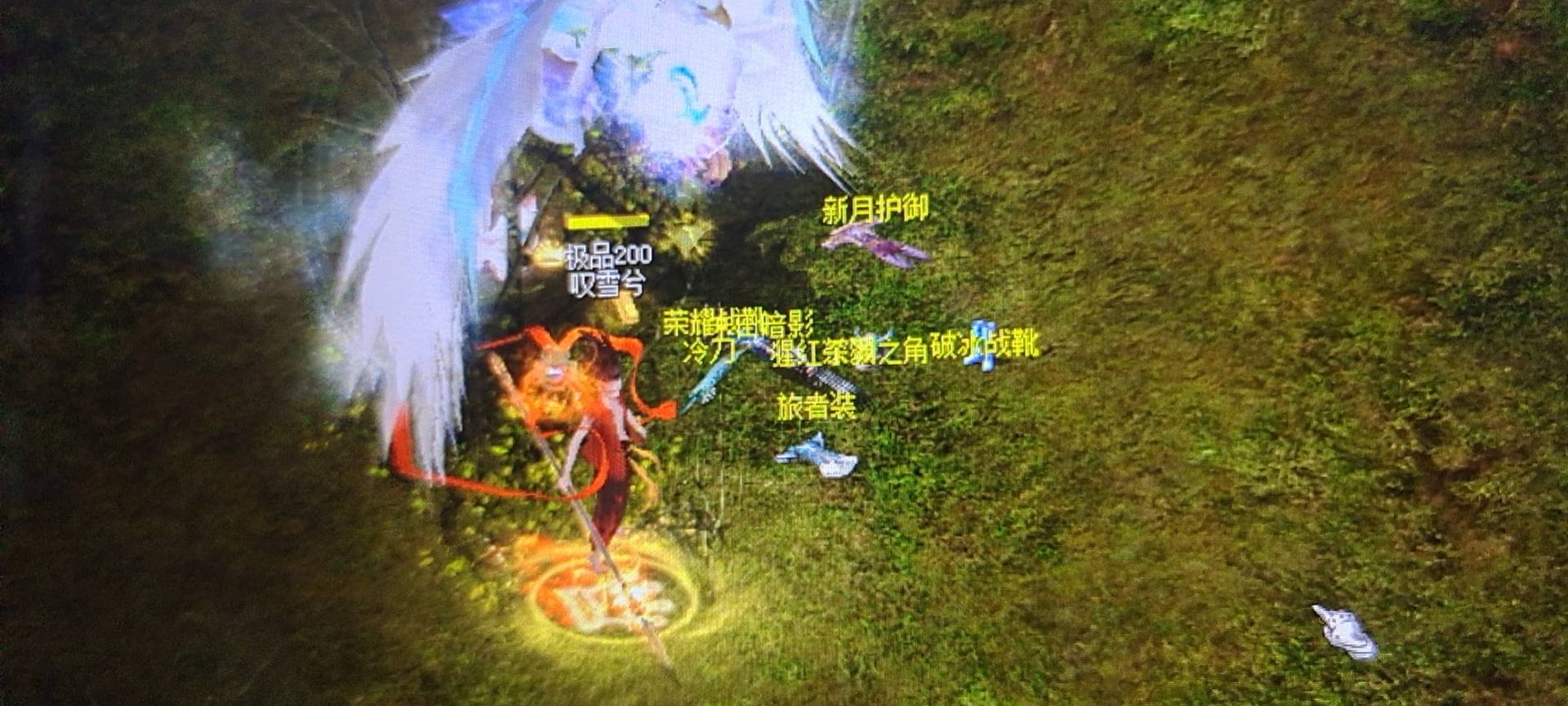 还是至尊美