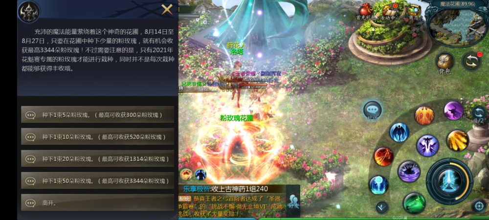 花魁赛种粉玫瑰活动又来了
