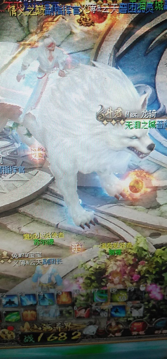 每日签到