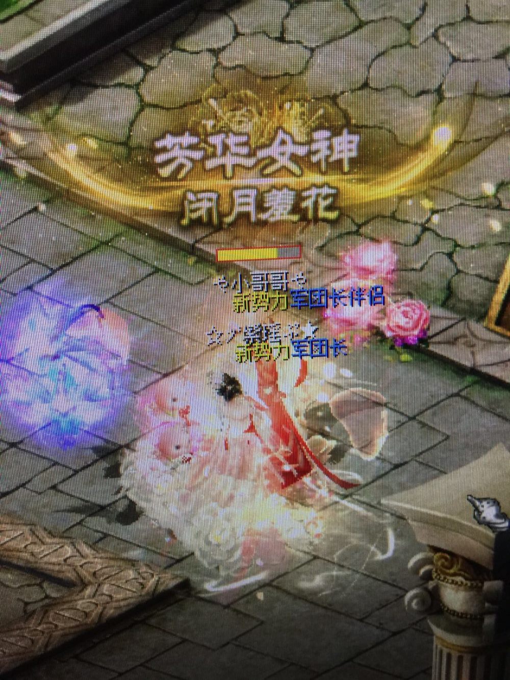 *难忘的回忆*