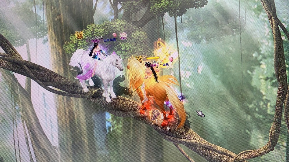 树心城
