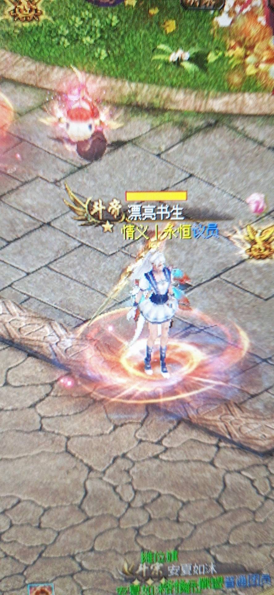 新外套，安排