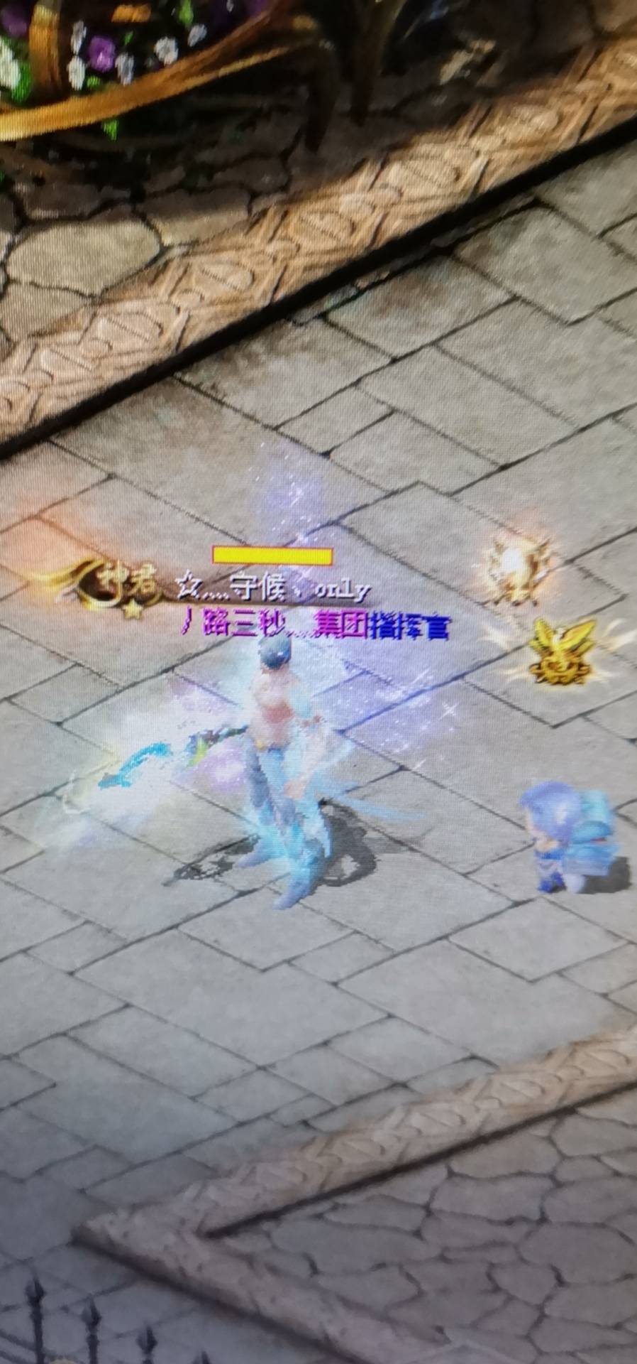 漂亮的东西都很昂贵