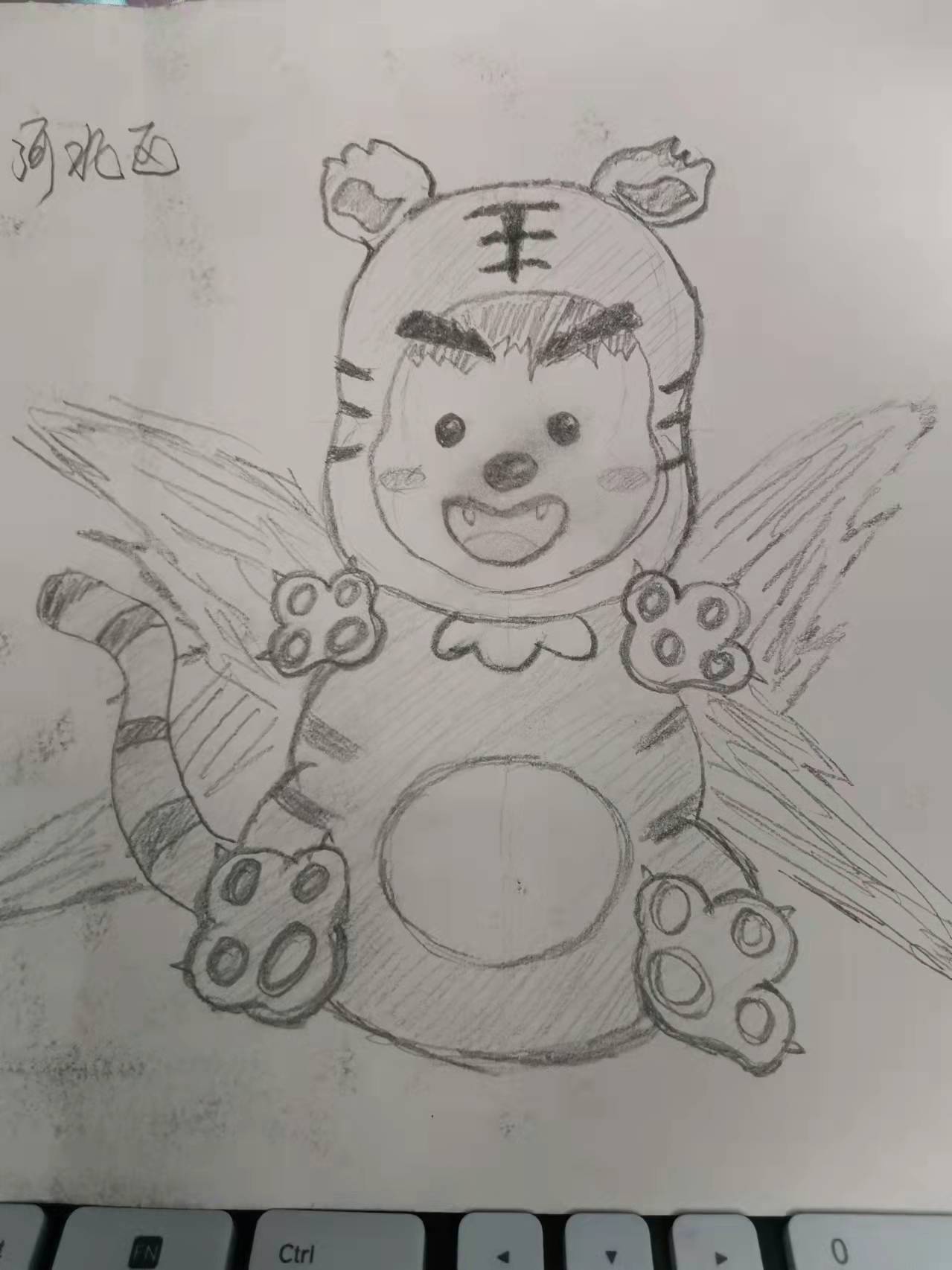 年兽神兽虎年宝宝预测降世山海异