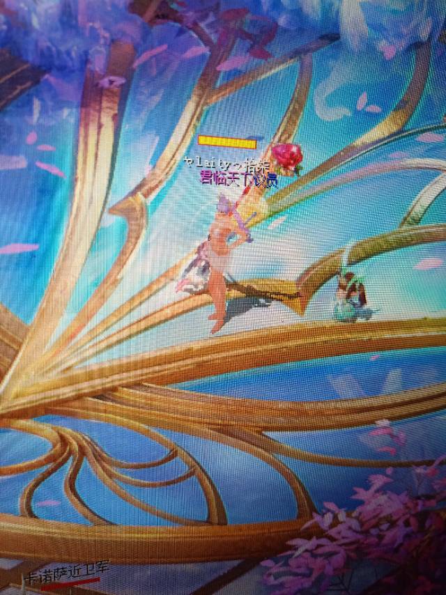 刚学会的魔域达人