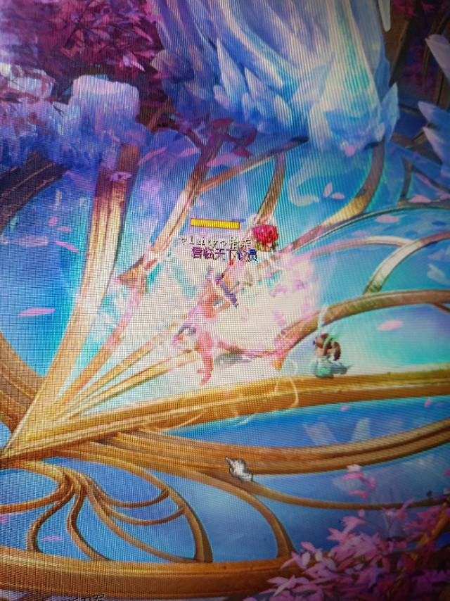 刚学会的魔域达人