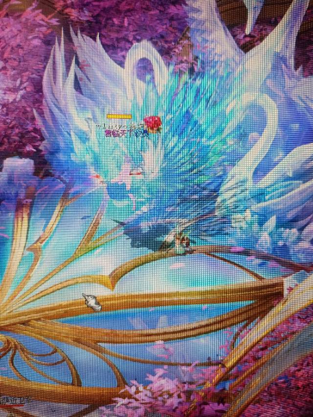 刚学会的魔域达人