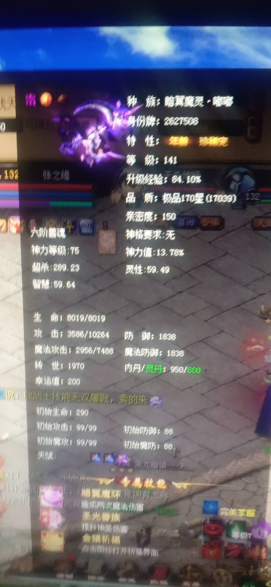 虎年脱单呦