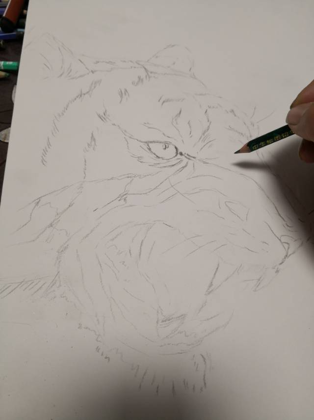 我想要怒放的老虎?