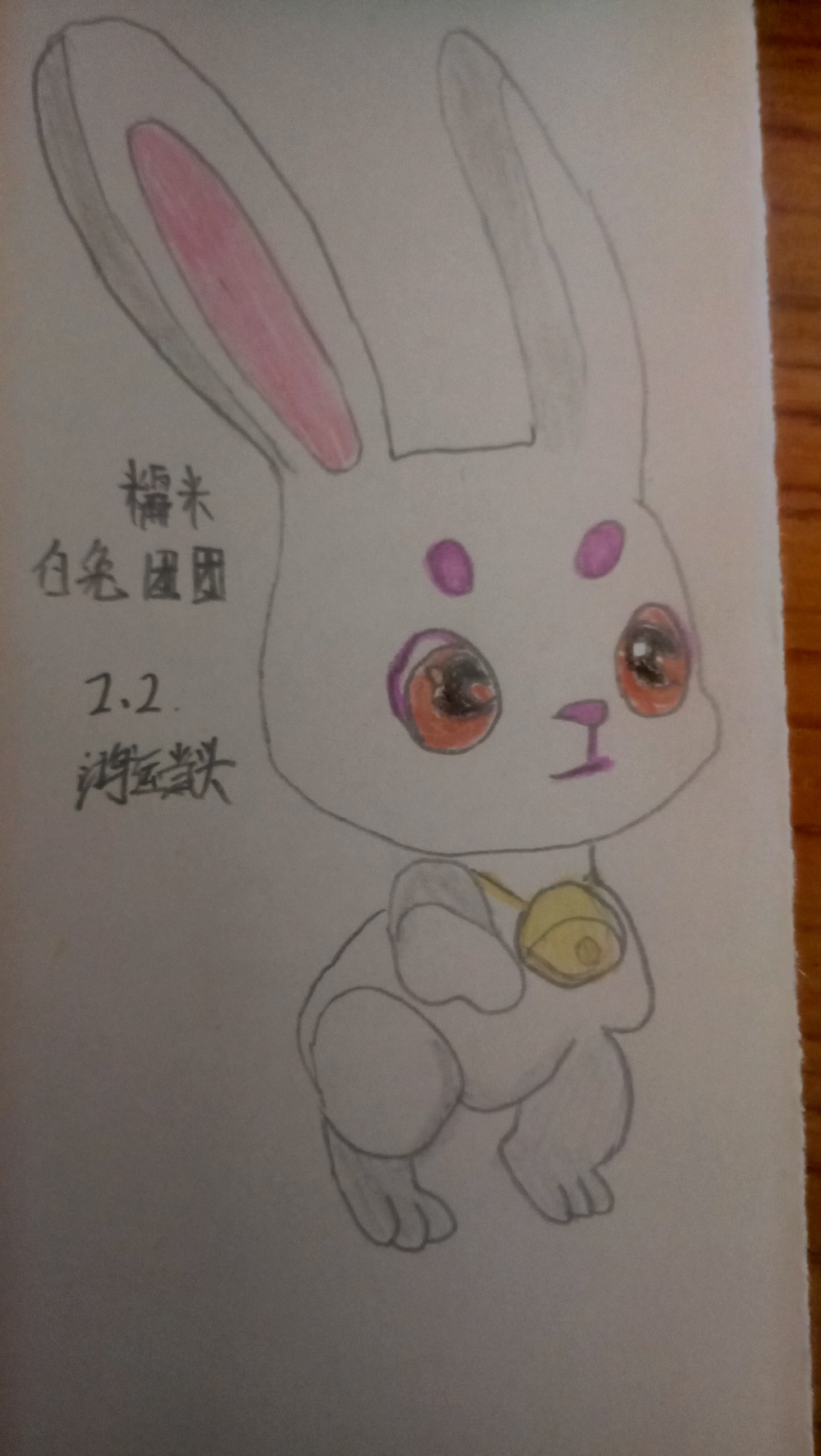 糯米兔 团团，前来报道！