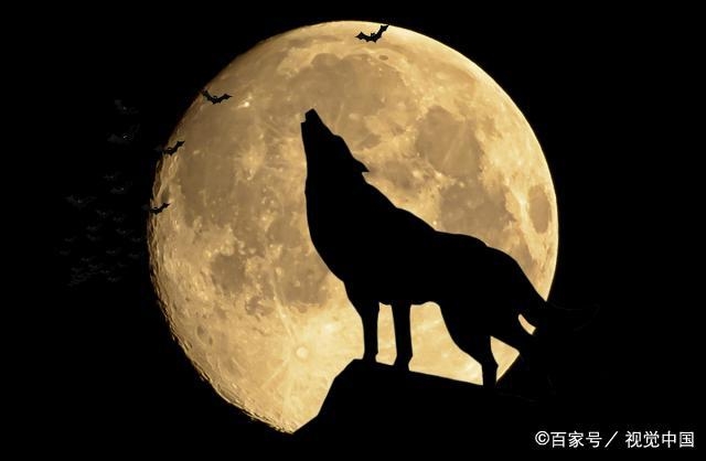 垃圾们好好玩，人生也就那么回事