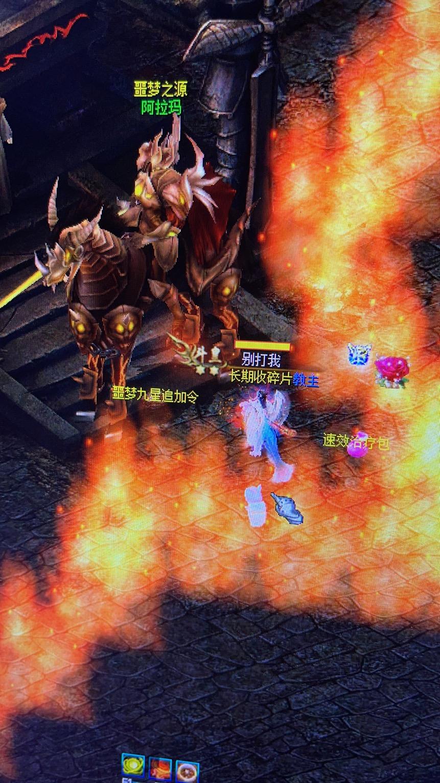 想领新跟宠，魔友们帮个忙