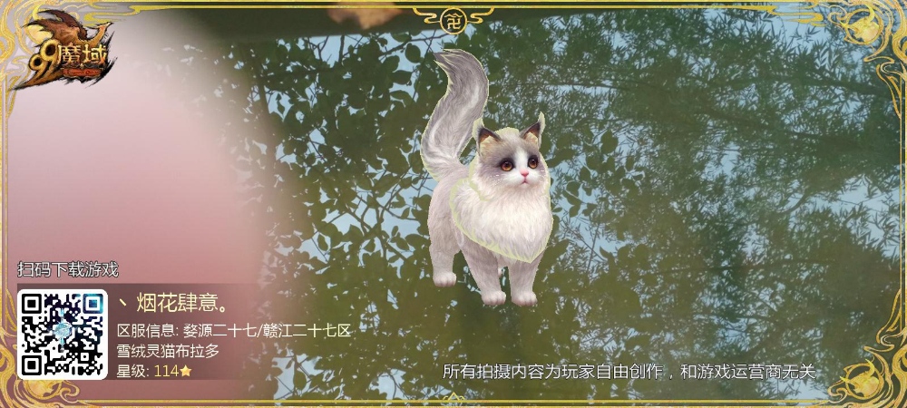 早起的猫儿没鱼吃