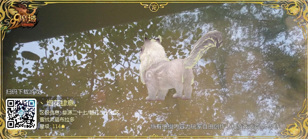 早起的猫儿没鱼吃