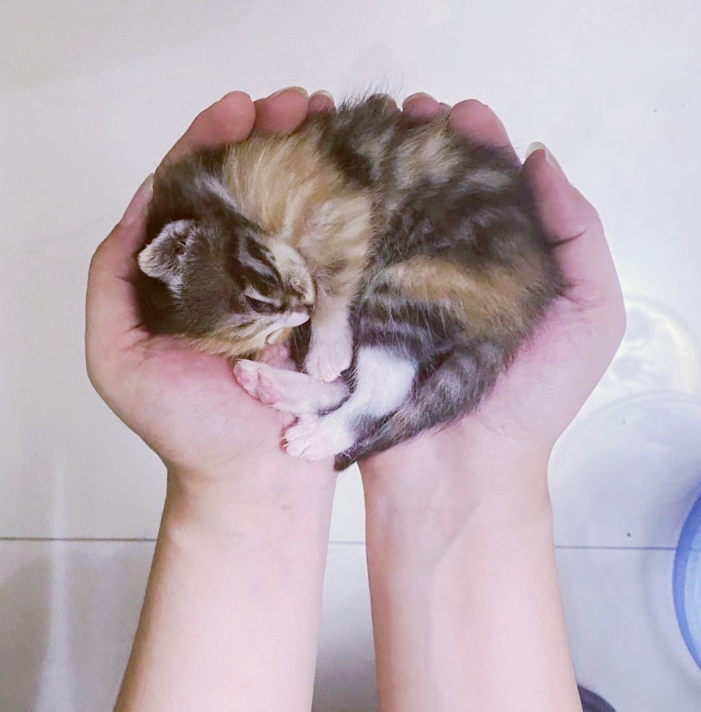 互粉。