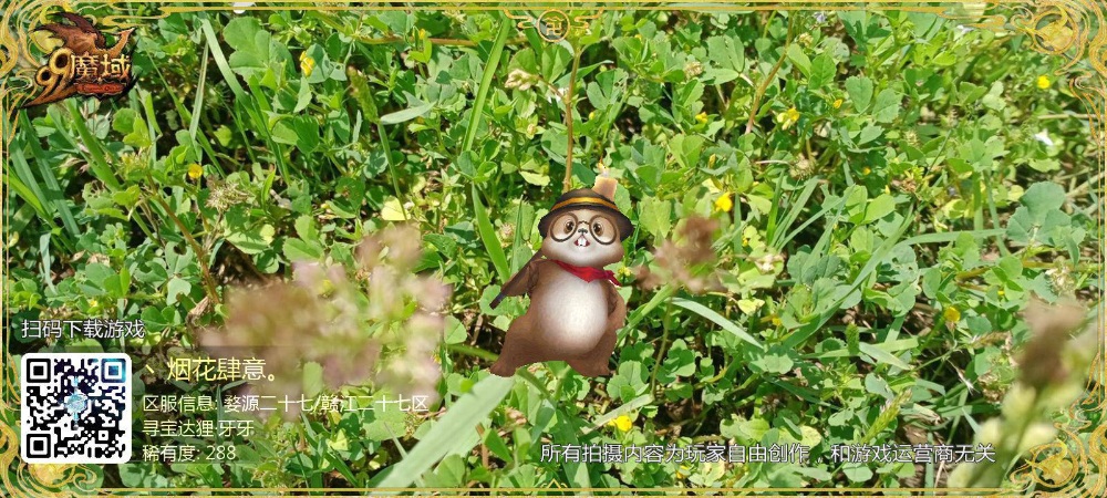 探宝  探宝