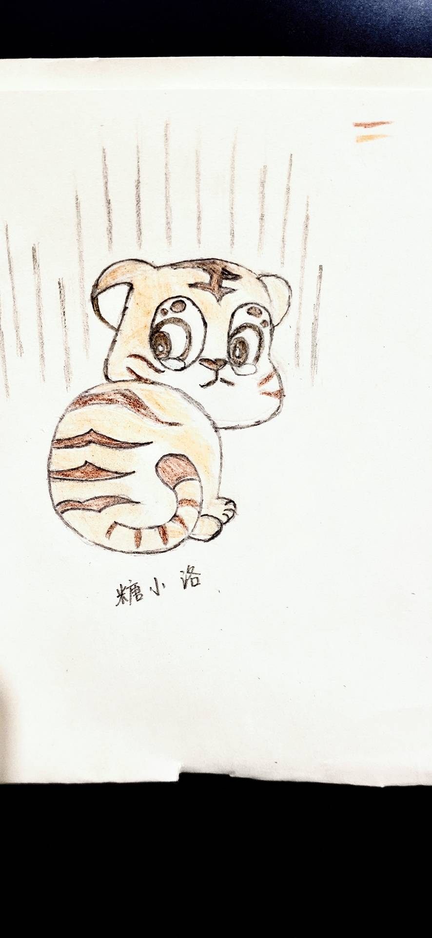 这是一只受委屈的小老虎🐯