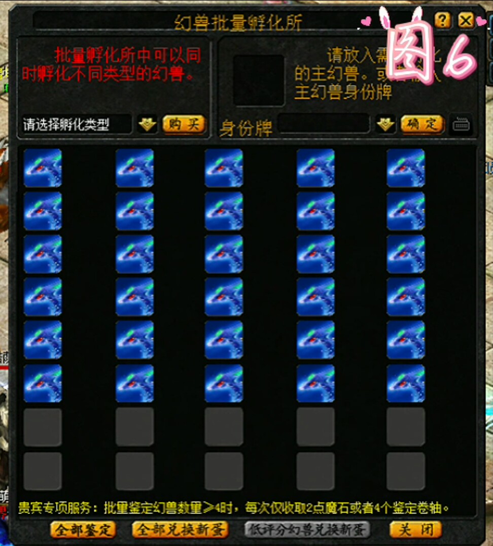 如何领养灵虎和养得更好