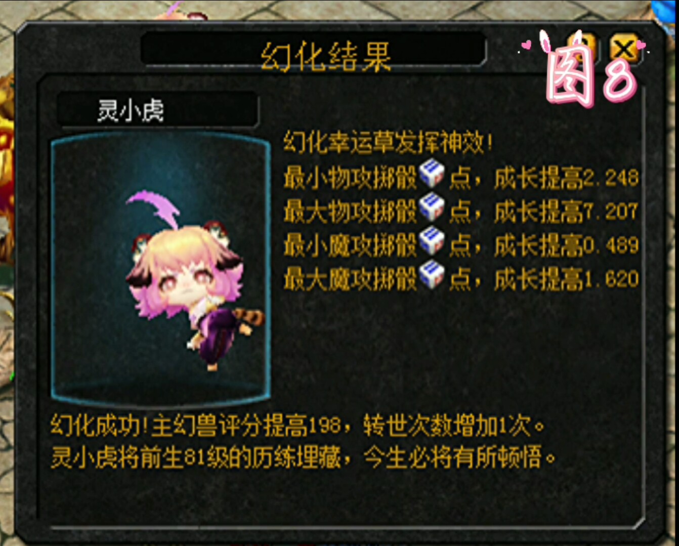 如何领养灵虎和养得更好