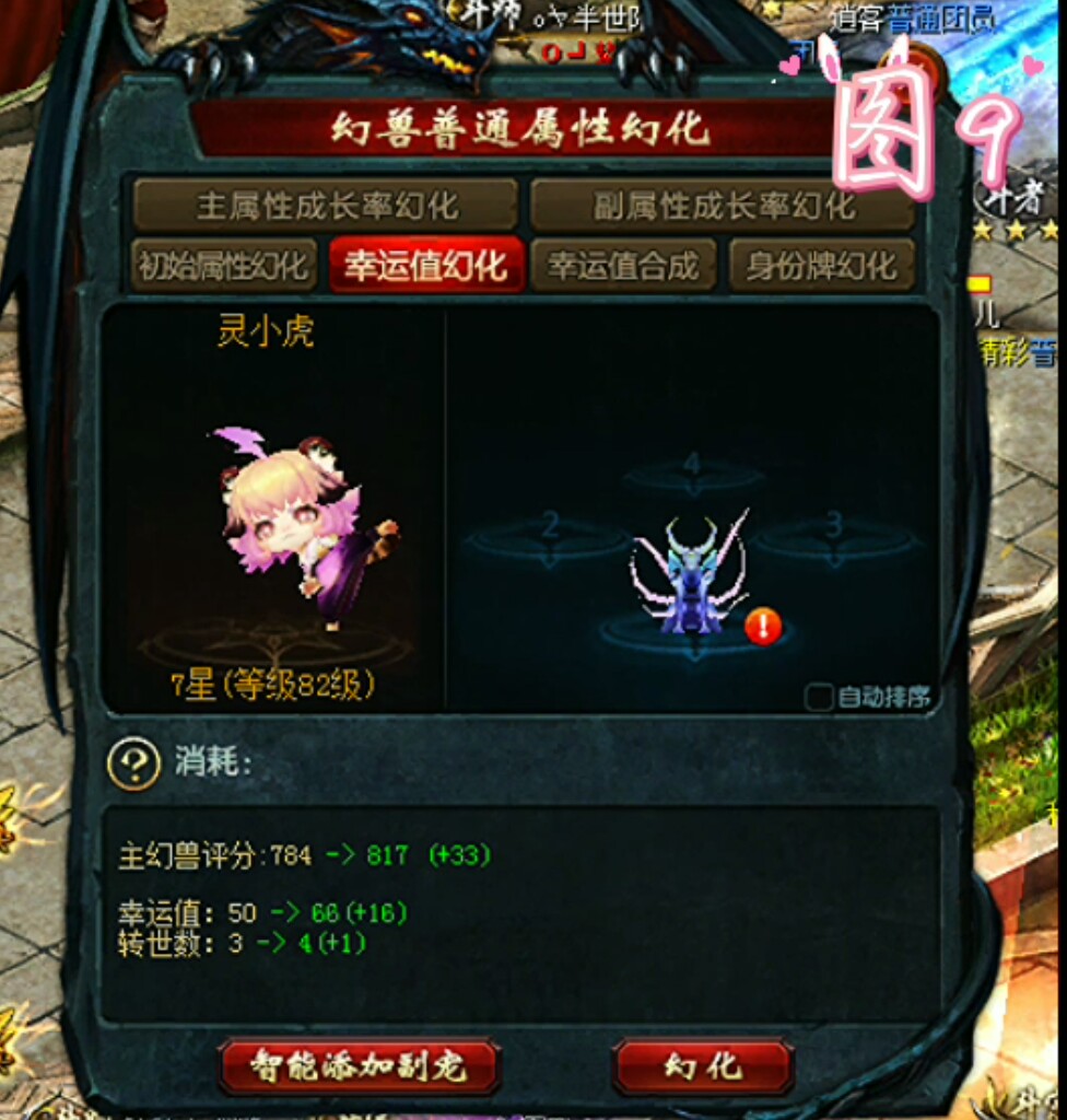如何领养灵虎和养得更好