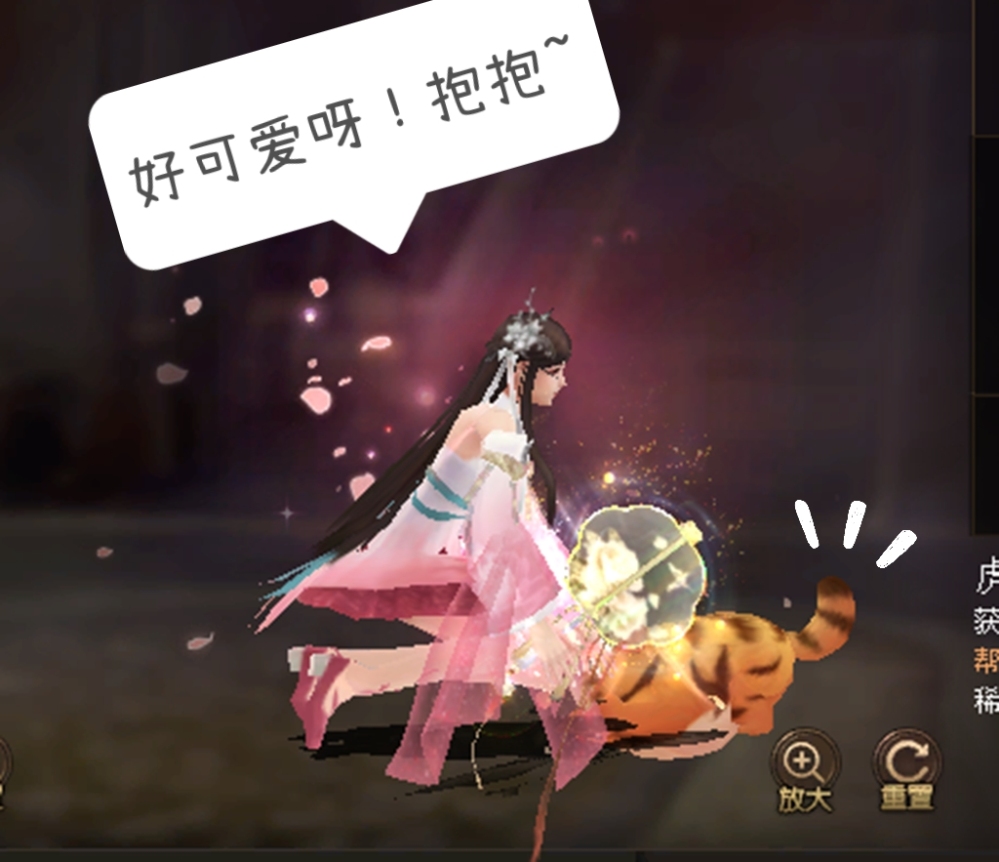 衣柜玩虎