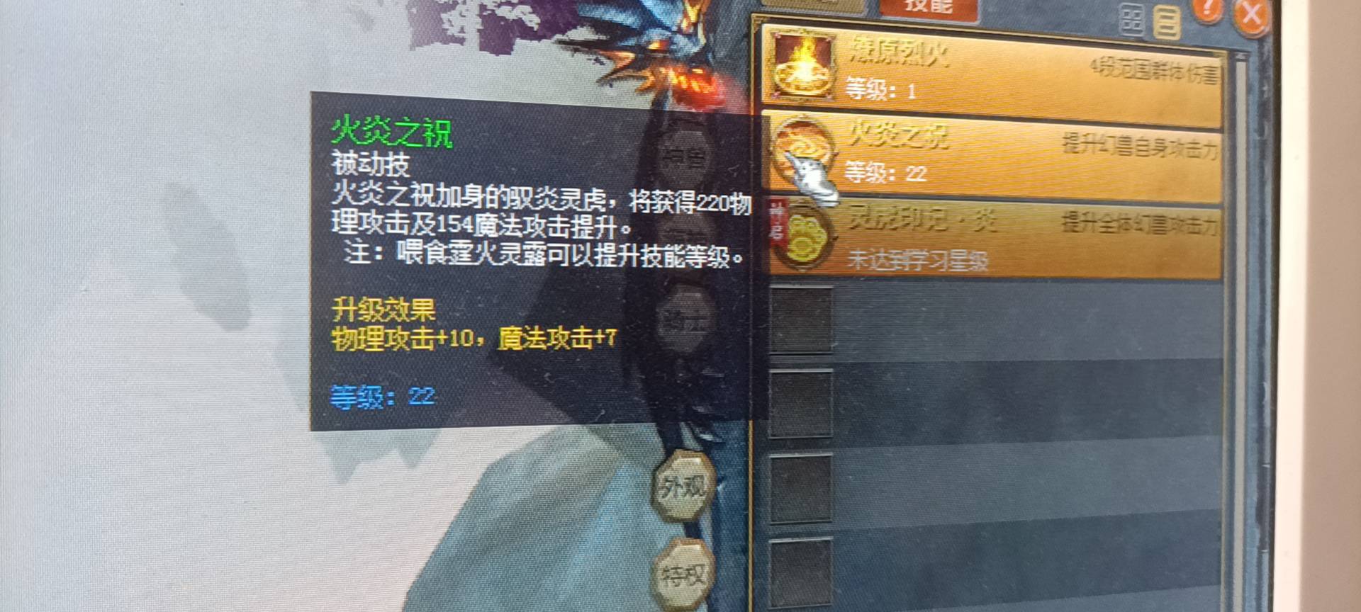 心有萌虎  虎啸山林